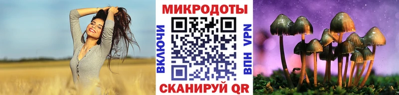 Галлюциногенные грибы Psilocybe  где можно купить   Ужур 